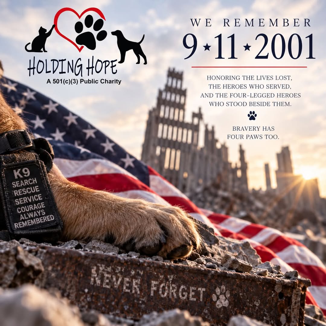 9•11•2001