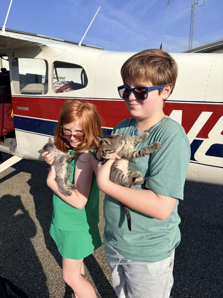 Cats