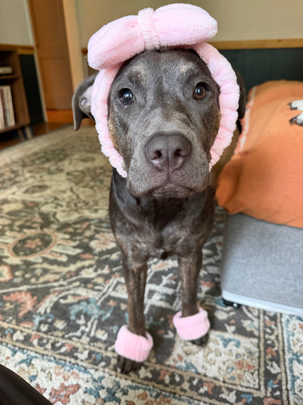 Wink 😉 in costume