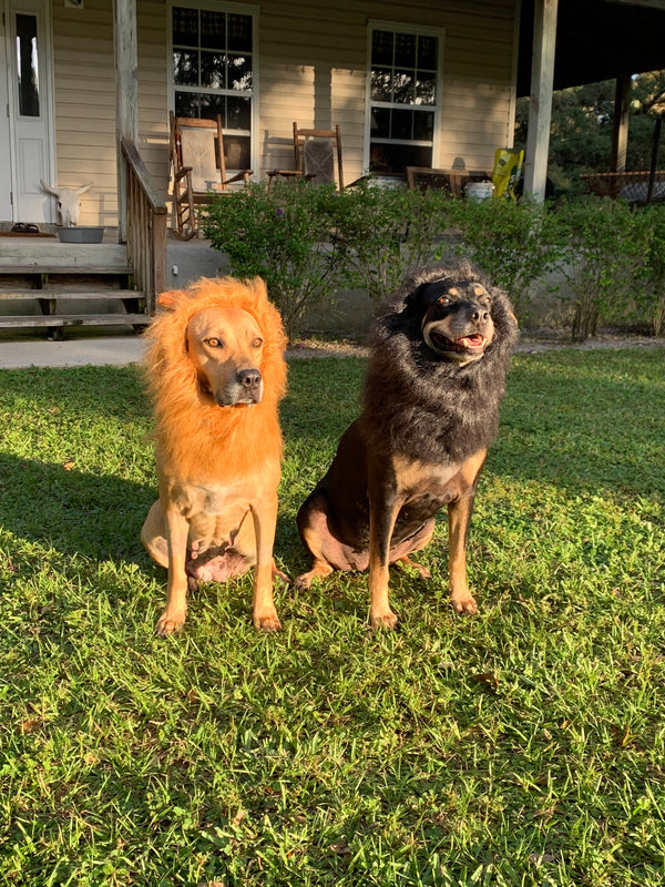 Mattie & Shug