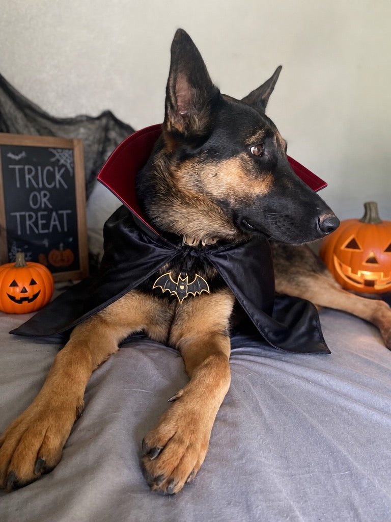 Zoe in costume