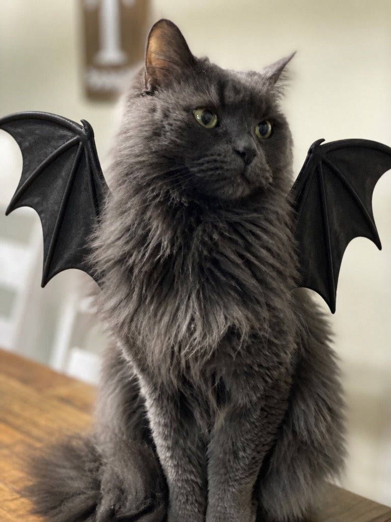 Ghost in costume